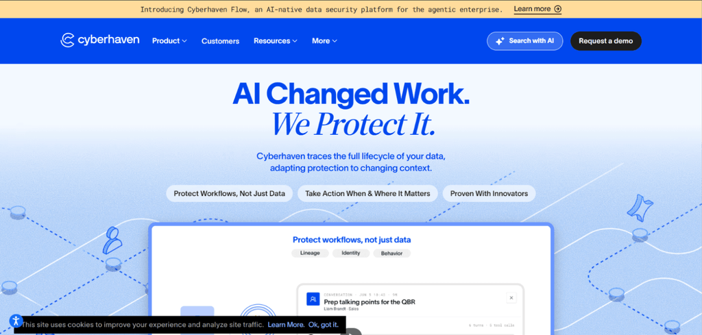 10 Best DSPM Tools for GenAI and AI Data Security 7 Cyberhaven