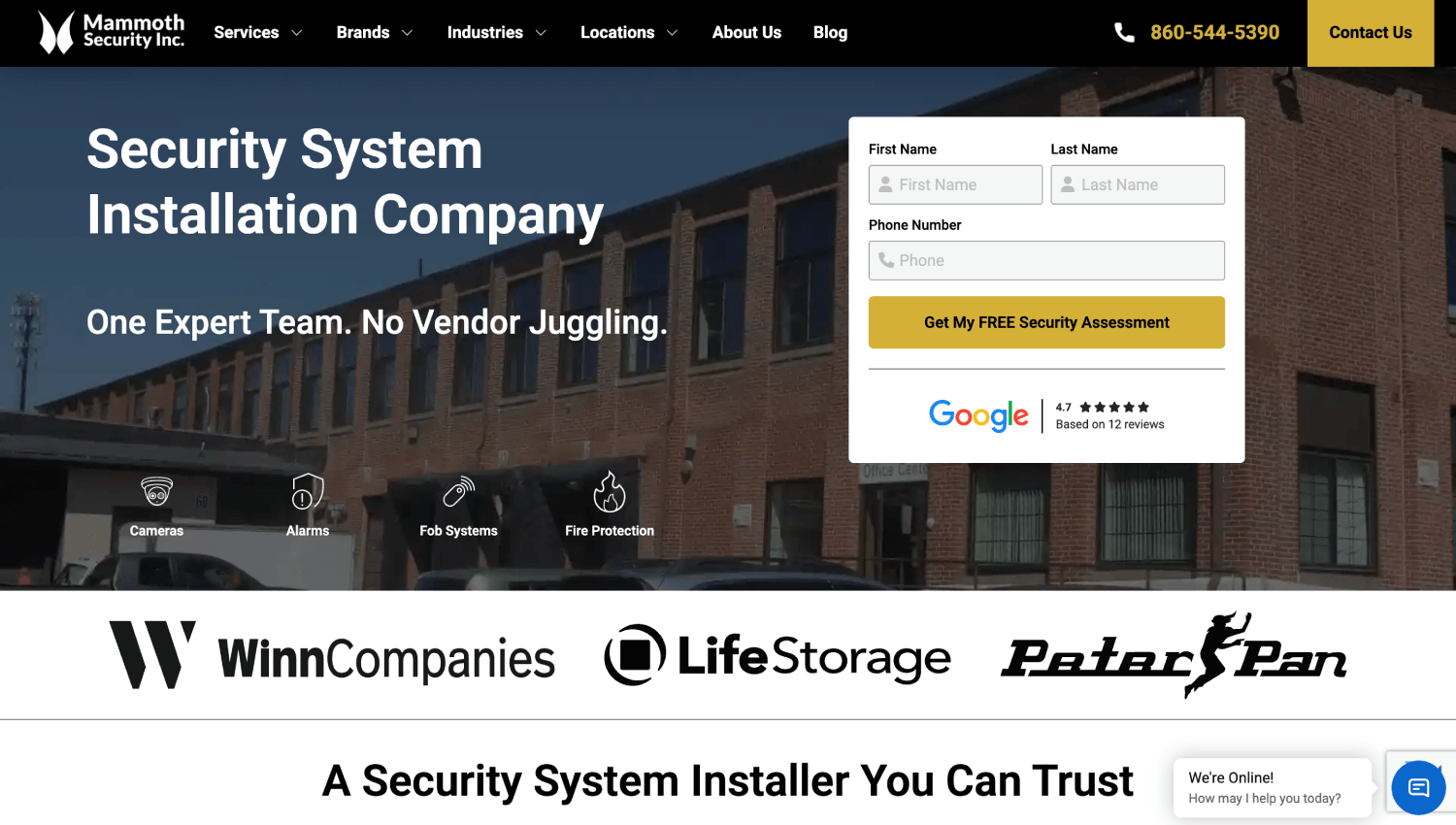 12 Best Enterprise Browsers in 2026 for Secure Work 10 mammoth